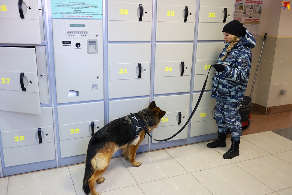 Паула работает в залах ожидания, в камерах хранения, на перронах и в вагонах поездов. Иногда Екатерину с Паулой приглашают поработать в аэропорту. Фото: Амир Закиров