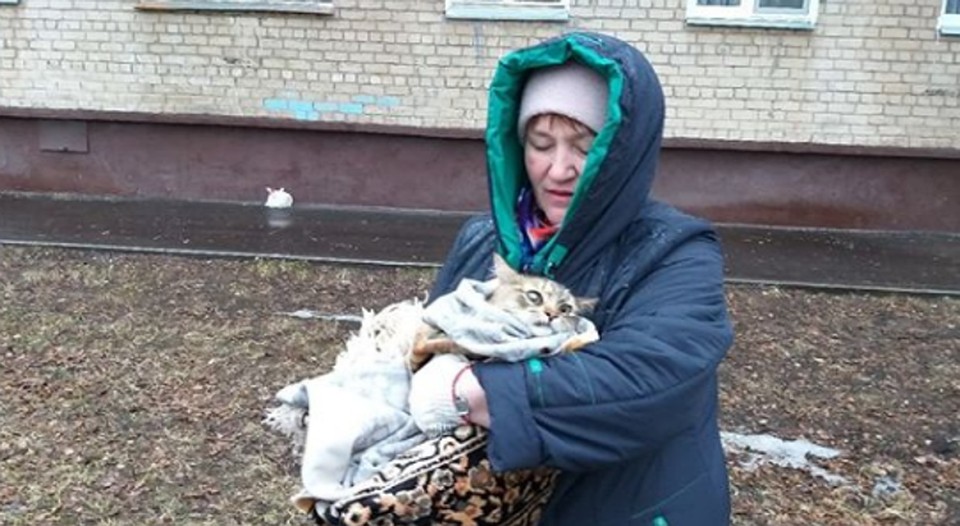 Кошку передали местной жительнице Фото: соцсети