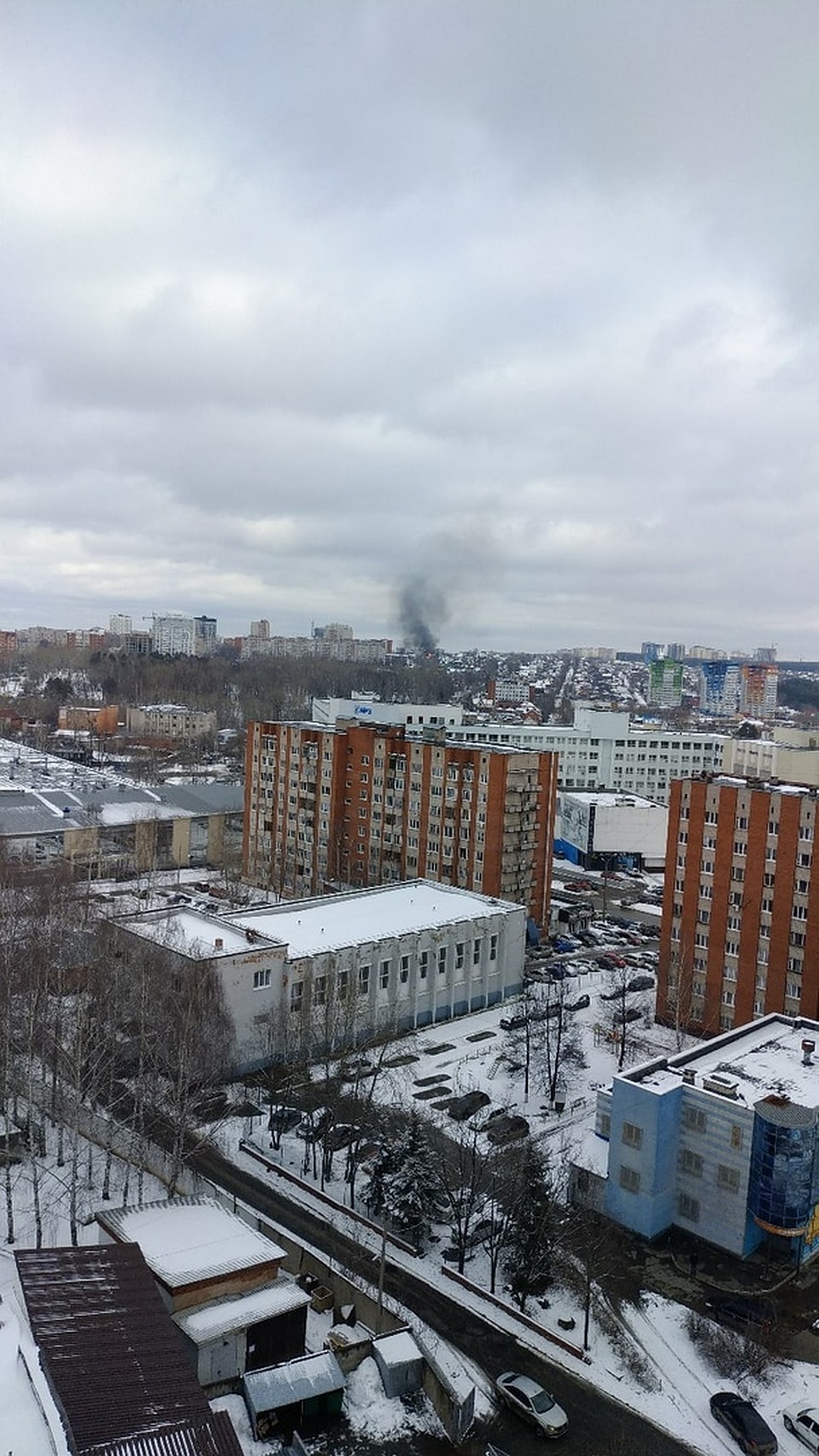 Фото: Юрий Колногоров