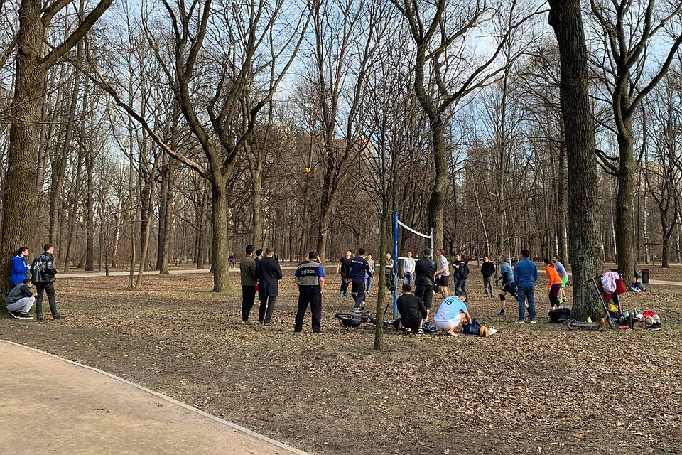 В парке Дубки народ играет в волейбол. Фото: Елена ПОПОВА