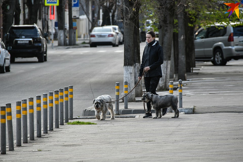 Фотокорреспондент «КП» прошел по пустым улицам города. Фото: Кирилл ВЕРШИНИН