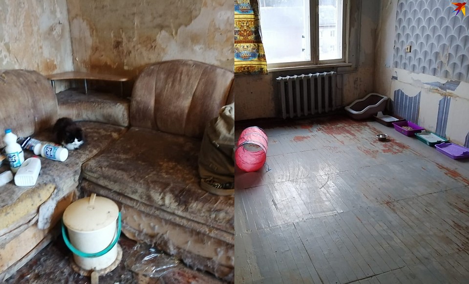 Вот так квартира выглядела до уборки (слева) и после (справа. Фото: Надежда Пасечная