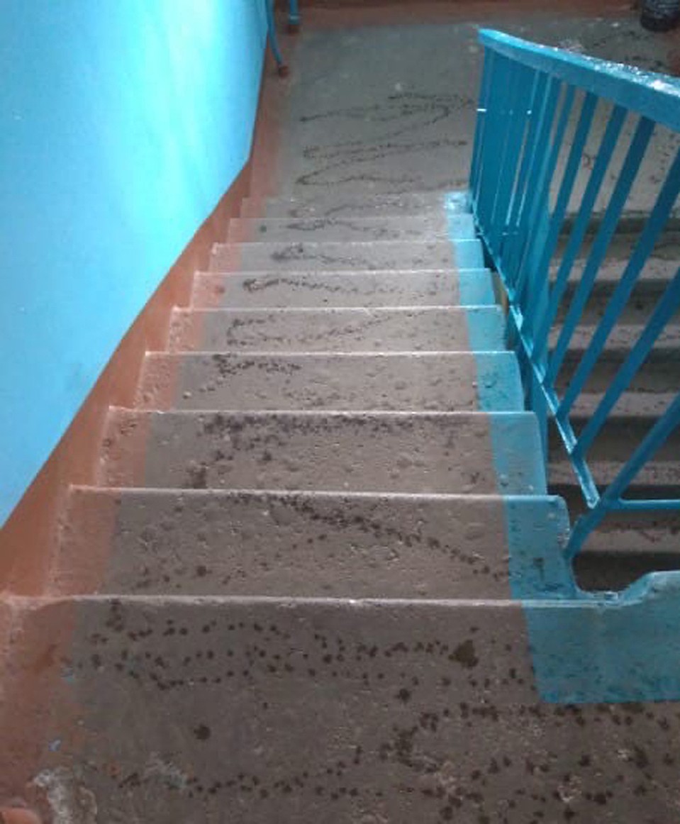 «Святой водой побрызгали»: Нижегородцы жалуются на плохое качество уборки подъездов. ФОТО: Регион-52 | Нижний Новгород