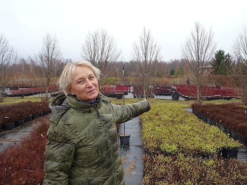 Ирина Савватеева, гендиректор «Питомника Савватеевых» Фото: Алексей ОВЧИННИКОВ