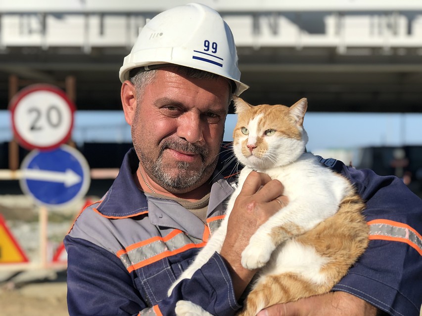 Кот обожает обнимашки. Фото: кот Моста/VK