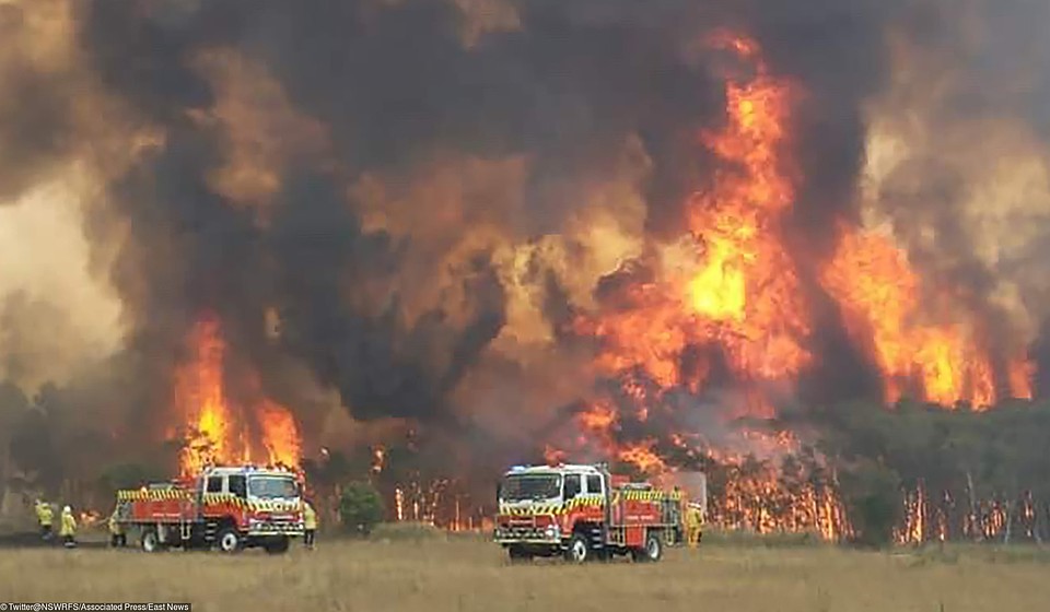 Пожарные машины на фоне огня лесного пожара, Австралия, декабрь 2019 г. Фото: EAST NEWS