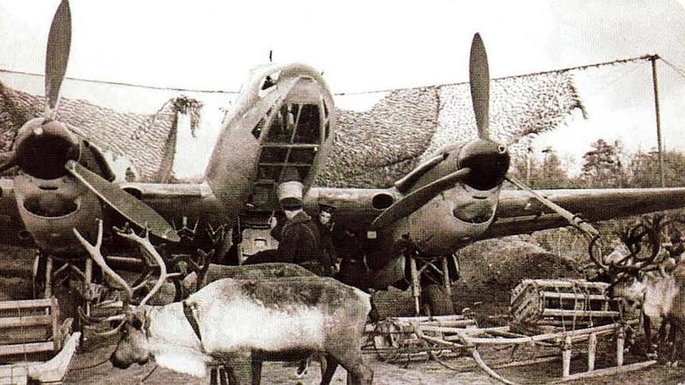 В ноябре 1944 года Карельский фронт расформировали. К тому времени из десятитысячного стада уцелело чуть более тысячи оленей, остальные погибли. Война для оленей закончилась. Но боевой путь ижемцев продолжался.