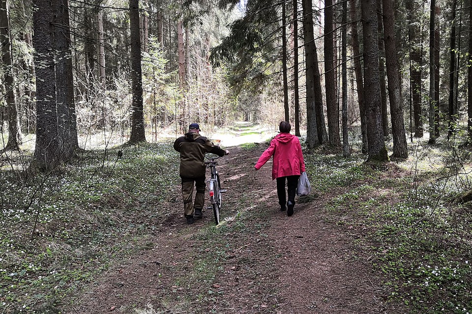 Чтобы попасть к часовне, сначала надо идти по лесу... Фото: Раиса ЮДИНА