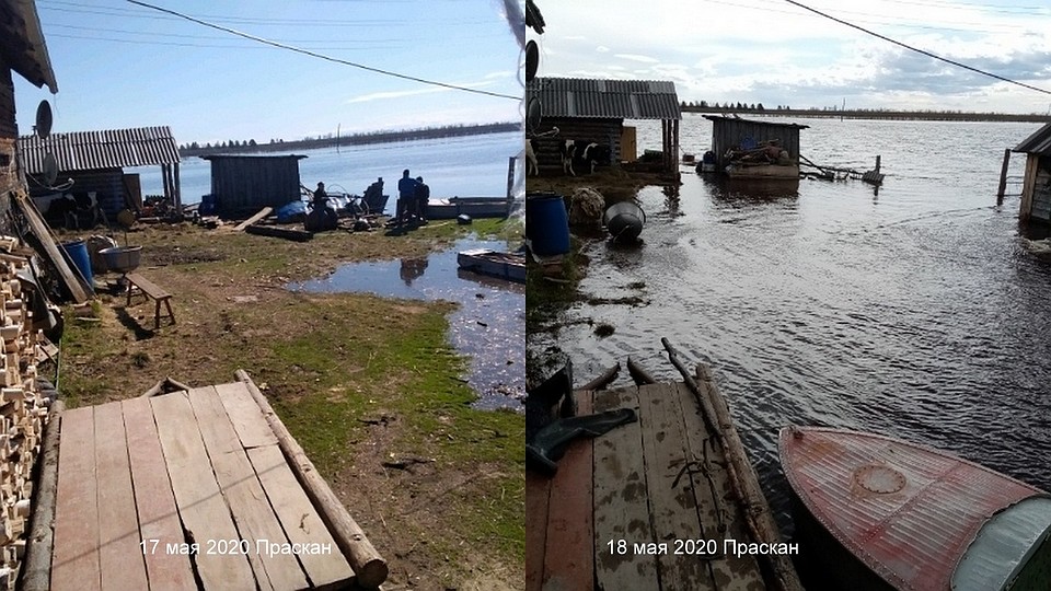 Коллаж Ирины Терентьевой