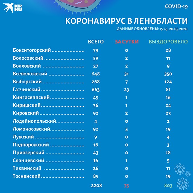 Лидером по заболевшим за все время остается Гатчинский район. Фото: Павел РОМАНОВ