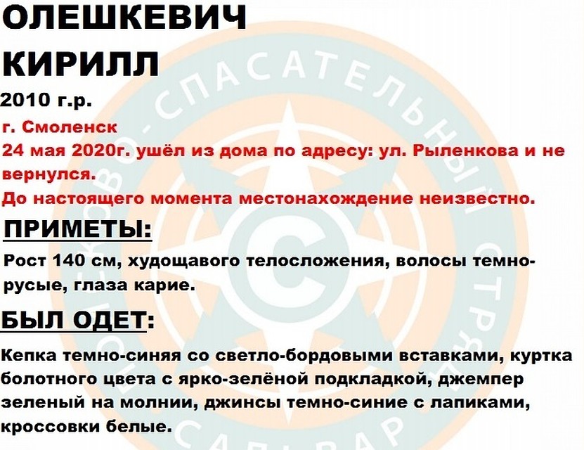В Смоленске начались поиски 10-летнего мальчика. Фото: ПСО "Сальвар".