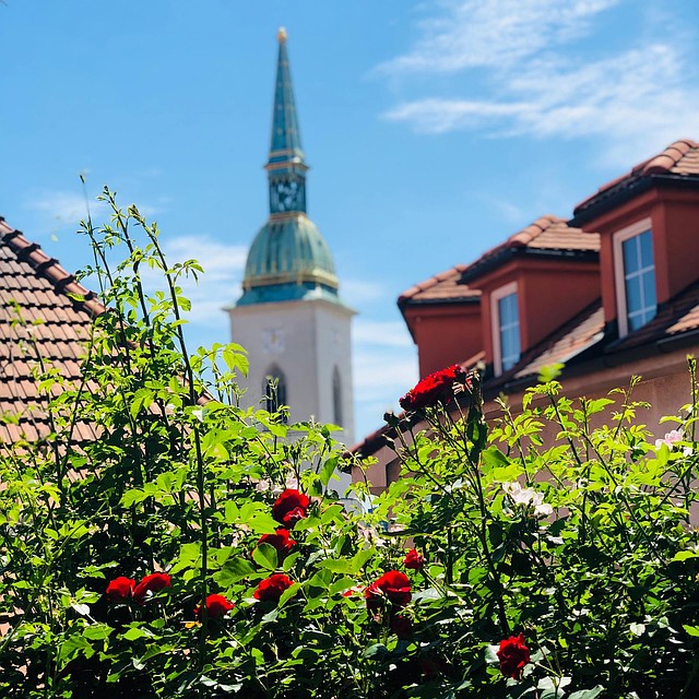Братислава – самый спокойный из столичных городов Европы. Фото: Дарья ГАМОВА