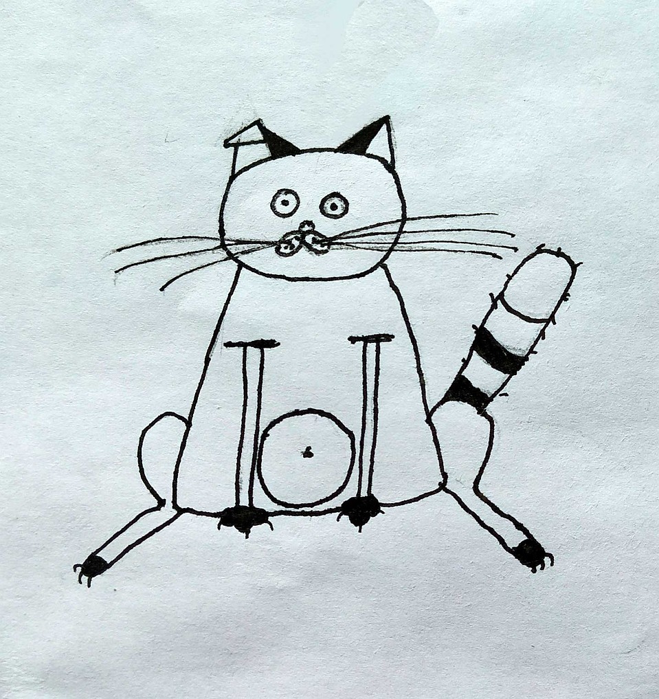 Кот Енот Михаила Жукова.