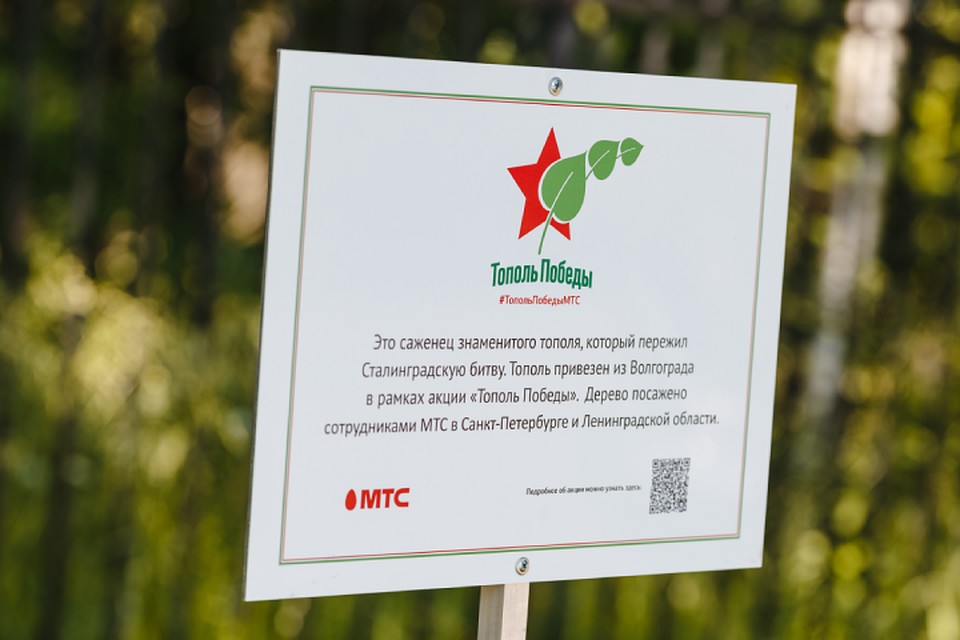 Фото предоставлено пресс службой МТС.