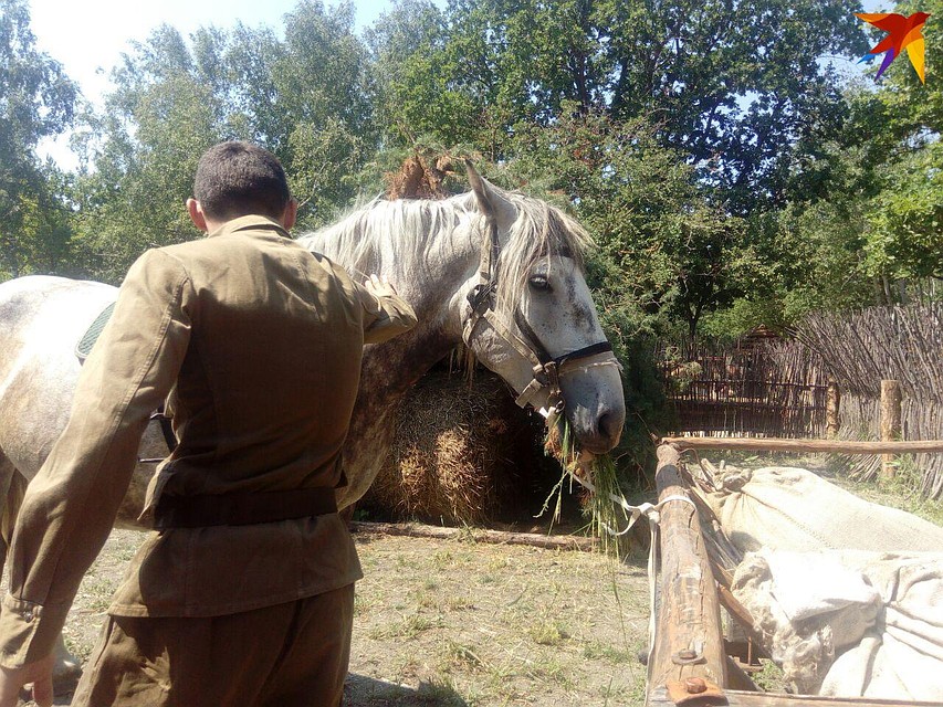 Без лошадей партизанам - никуда Фото: Ольга Симонова