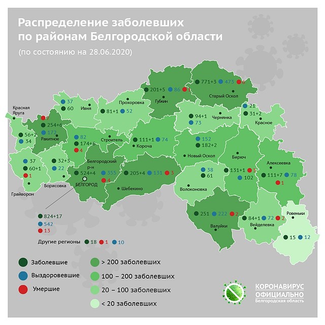 Распределение заболевших по районам Белгородской области. Фото: Скриншот сайта