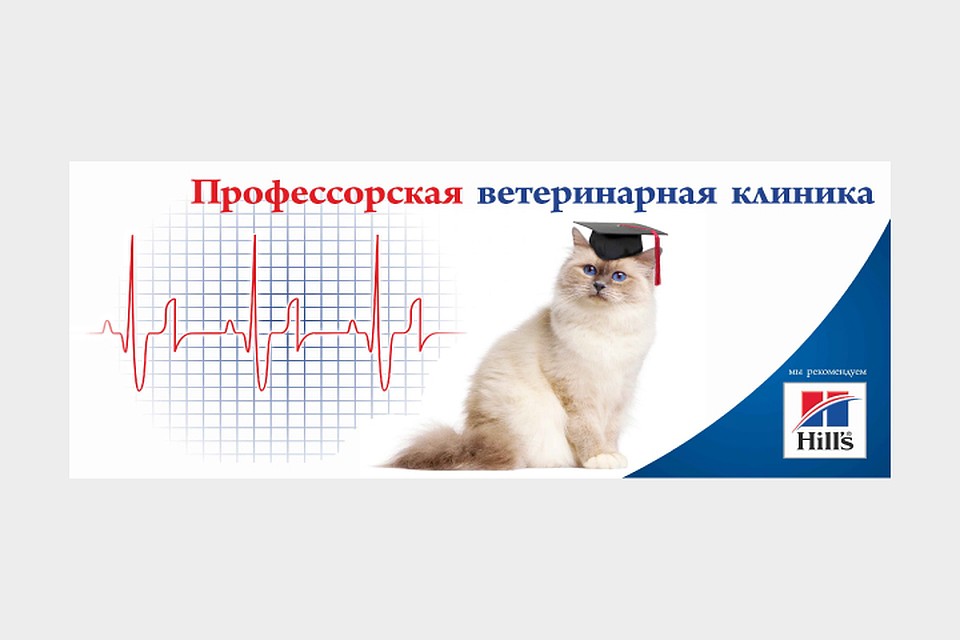 Фото: Константин Чернов