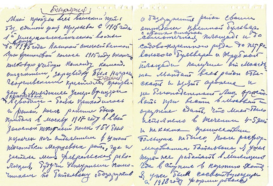Эти записи чудом сохранились в семье Власика после его ареста.