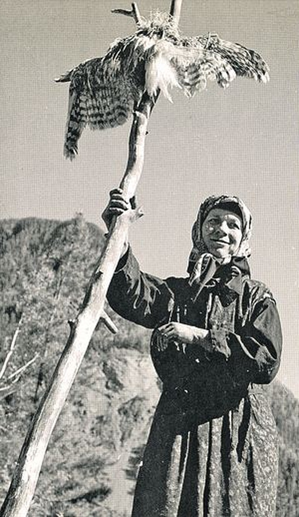 У загона, где кормятся куры.