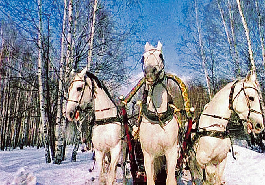 После выхода «Чародеев» песня «Три белых коня» стала гимном русской зимы!