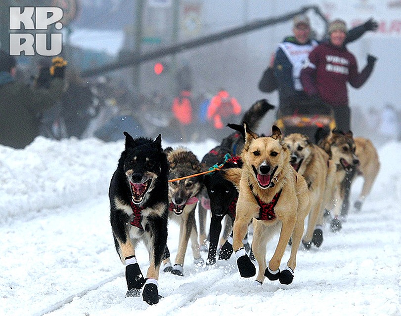 Фото: Сергей ШАХИДЖАНЯН