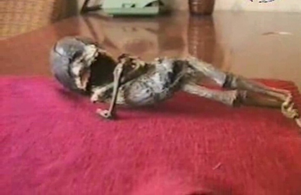 А это Алешенька