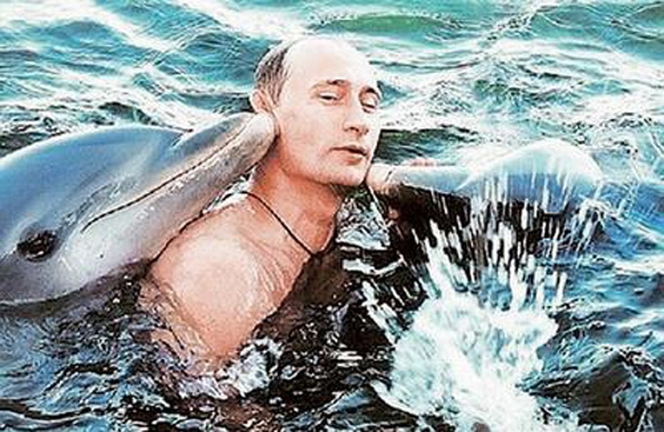 Президент плавает с дельфинами в Черном море в 2009 году Фото: РИА Новости
