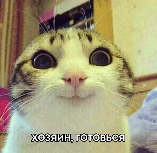 Фото: СОЦСЕТИ