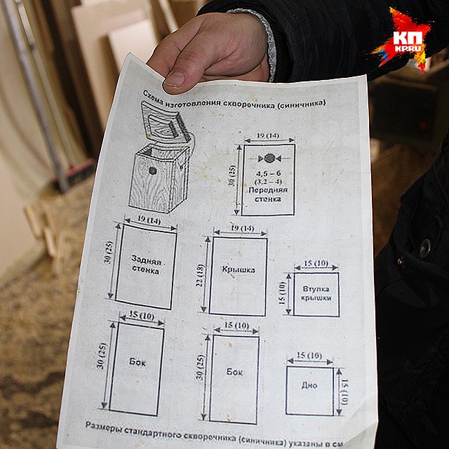 Фото: предоставлено министерством природных ресурсов и экологии Саратовской области