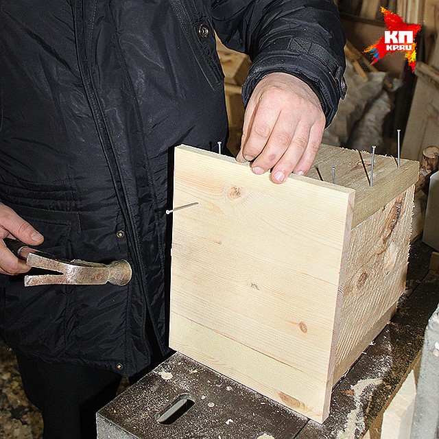 Фото: предоставлено министерством природных ресурсов и экологии Саратовской области
