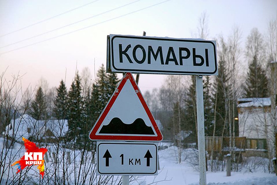 Фото: Алексей ЖУРАВЛЕВ