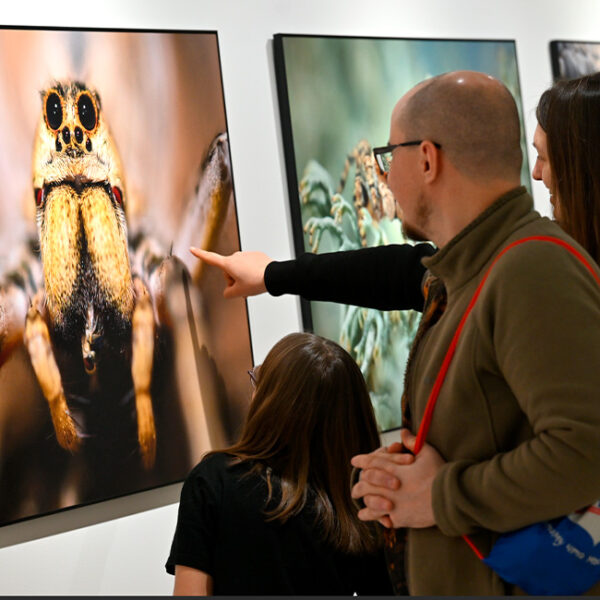 Выставка Первозданная Россия