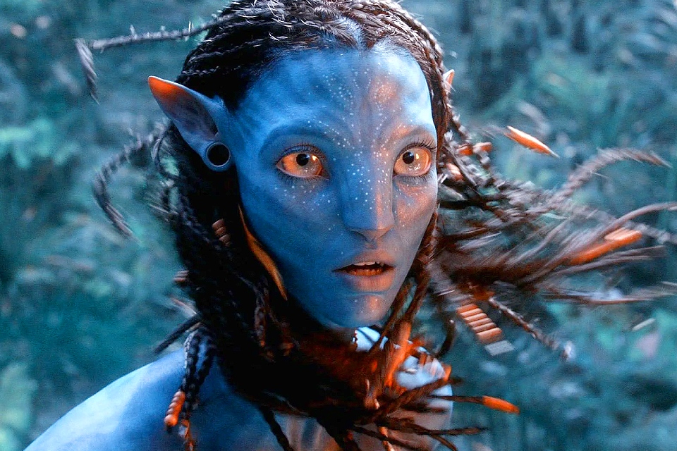 10 скандалов с плагиатом в кино: «Аватар», «Пятый элемент», «Один дома» и «Терминатор»