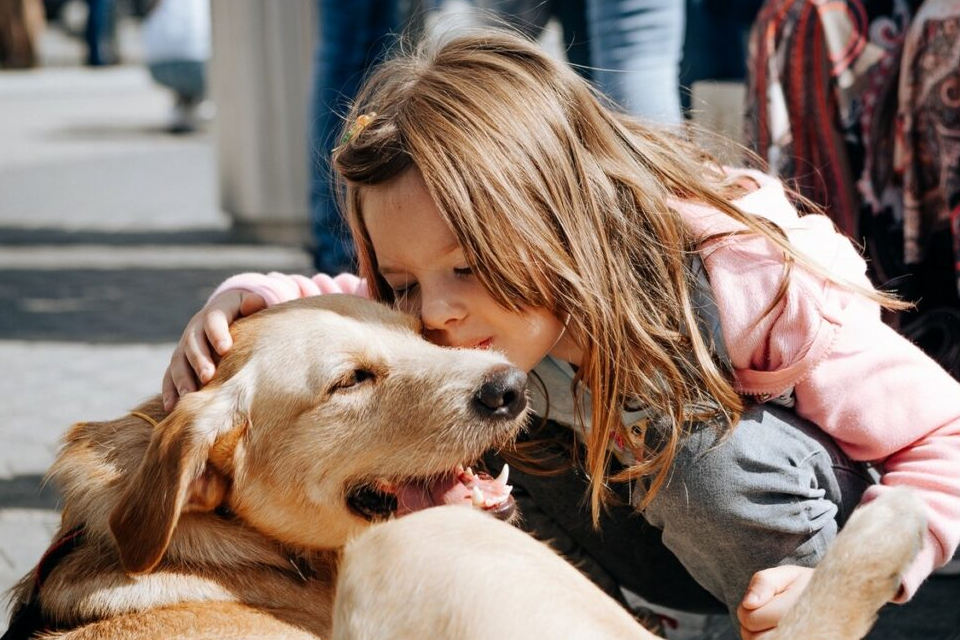 24 лучшие идеи, куда сходить в Москве на выходные 12 и 13 ноября 2022: фестиваль собак из приютов, рок-хиты 70-х и шоу Светланы Хоркиной