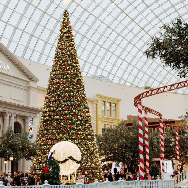 Новогодние праздники в парке «Остров Мечты»