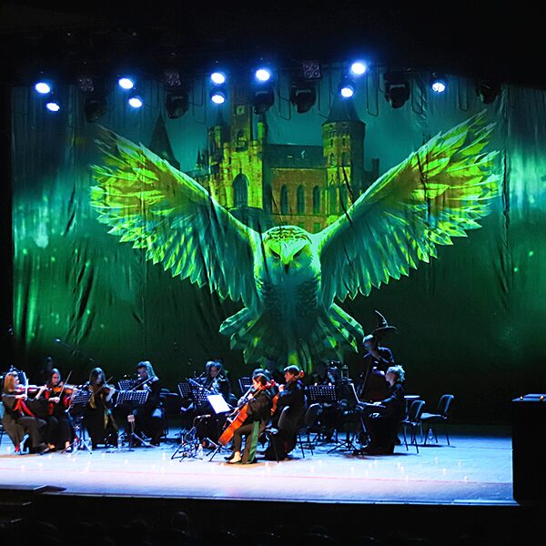 Концерт оркестра Sonorus «Гарри Поттер»