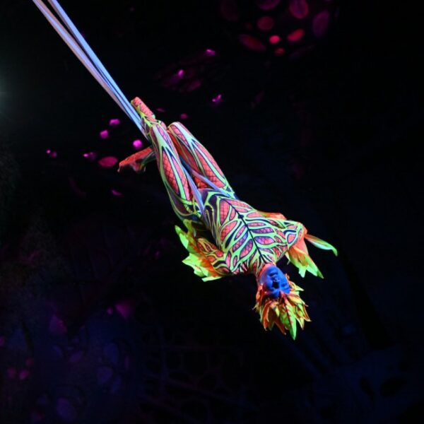 Водное шоу «Море снов»