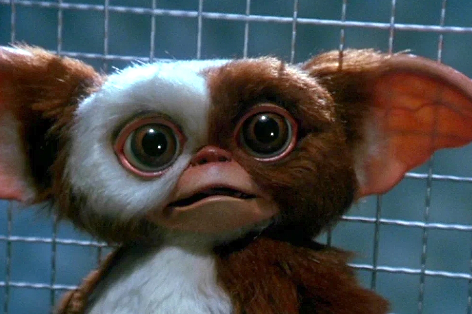 Фильм «Гремлины 3» (2027): возвращение пушистого хаоса от режиссера «Один дома»