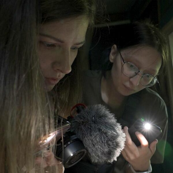 Национальная премия имени Дзиги Вертова