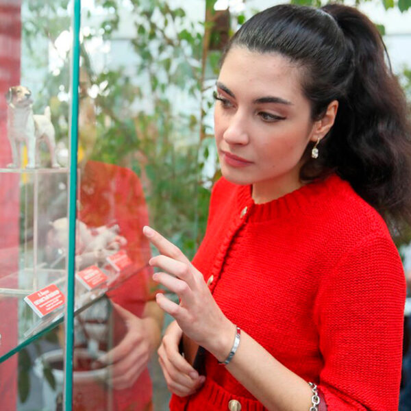 Выставка «Начало пути» в Дарвиновском музее