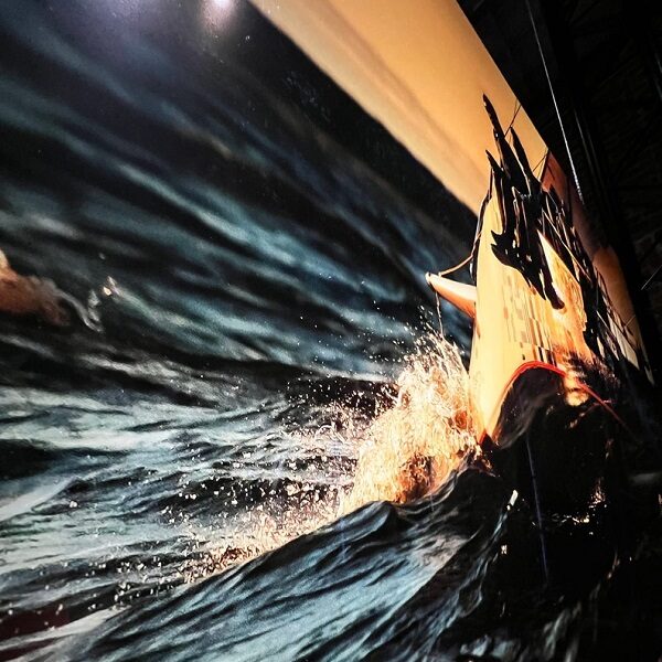 Выставка «Яхтинг — это свобода»