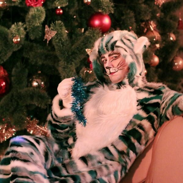 Новогодний спектакль «Снежная королева» в Павловском дворце