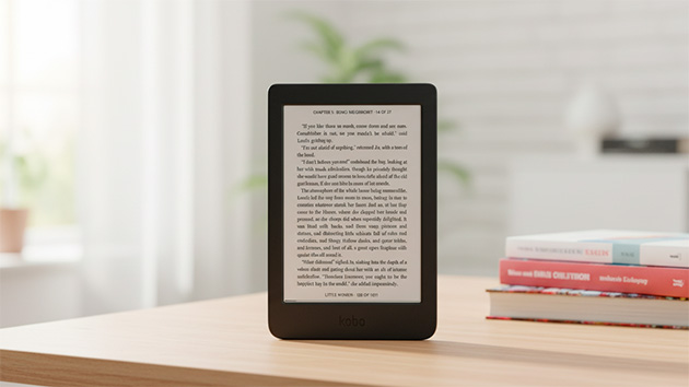 Kobo Nia. Фото: Павел Громов / Нейросеть