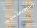 Диплом Елены Пищугиной