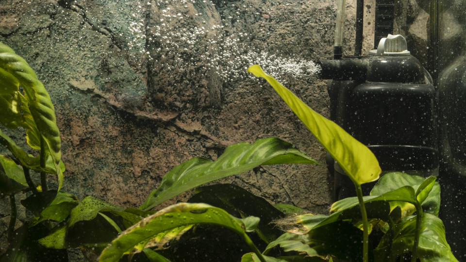 10 лучших фильтров для аквариумов в 2025 году