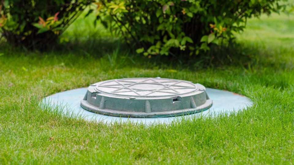 Вариант оформления выгребной ямы. Фото: Yuri Snegur / Shutterstock / Fotodom