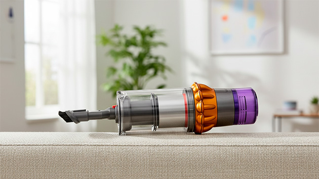 Dyson V15 Detect absolute. Фото: Татьяна Фадеева / Нейросеть