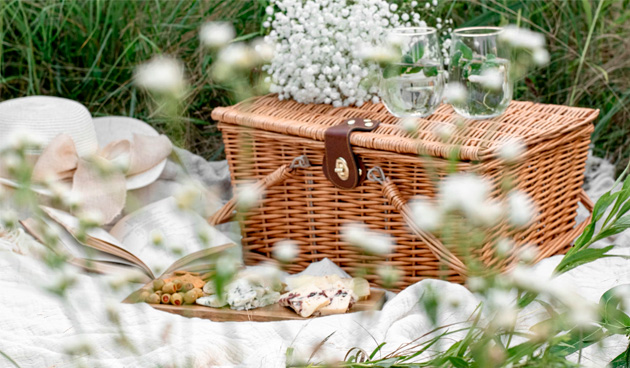 Набор для пикника