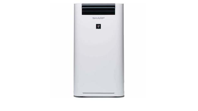 Sharp KC-G61RW. Фото: market.yandex.ru