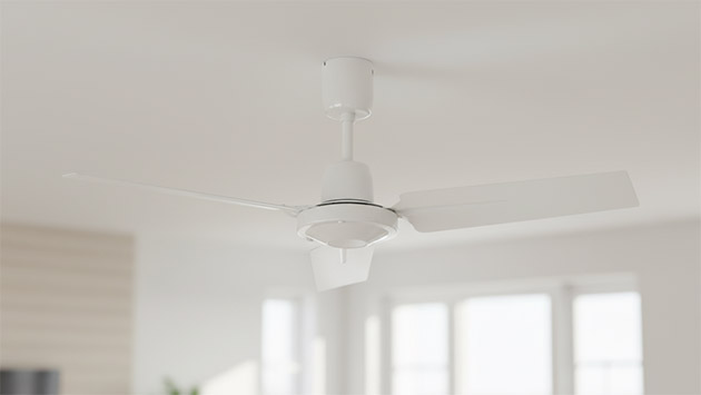 Soler and Palau HTB-140RC. Фото: Татьяна Фадеева / Нейросеть